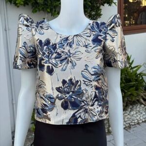 Modern Filipiniana top